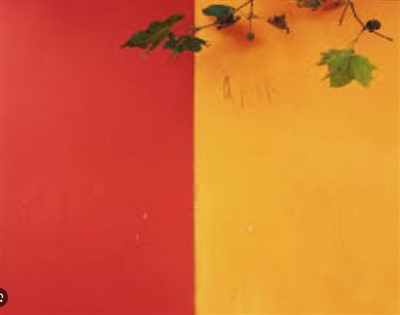 Stenska barva na vodni osnovi iz lateksa